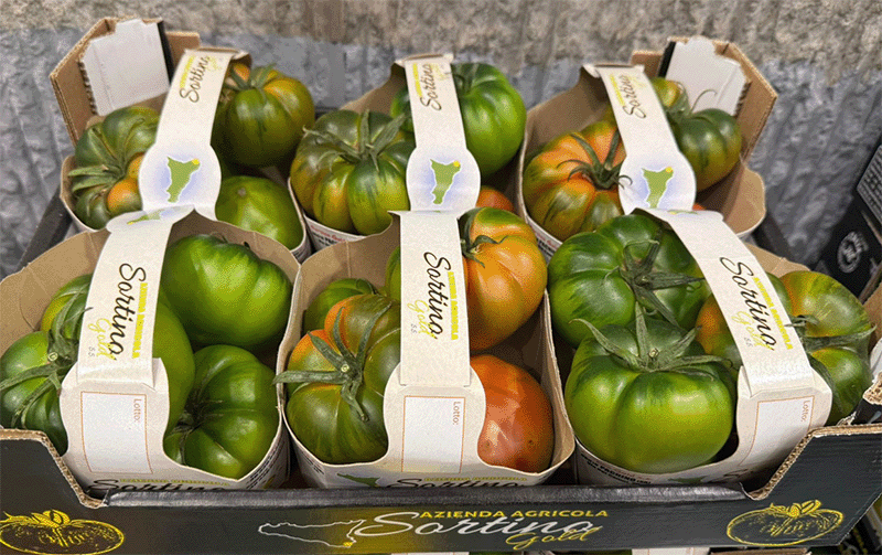 Pomodoro tipo Pachino - Sicilia - 3,00 euro al chilogrammo